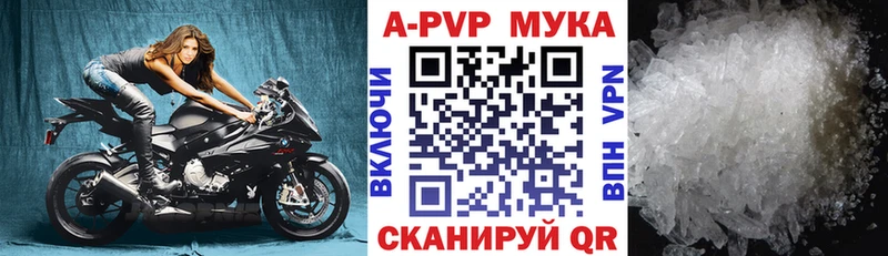 Alpha PVP СК КРИС  omg ссылка  Кириши 