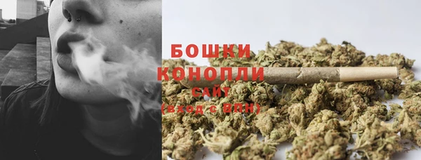 не бодяженный Арсеньев