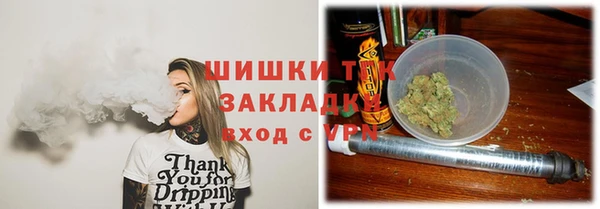 spice Инсар