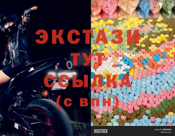 прущие грибы Алзамай