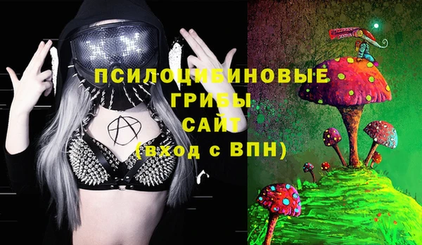 не бодяженный Арсеньев