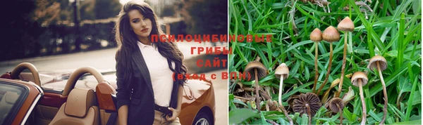 не бодяженный Арсеньев