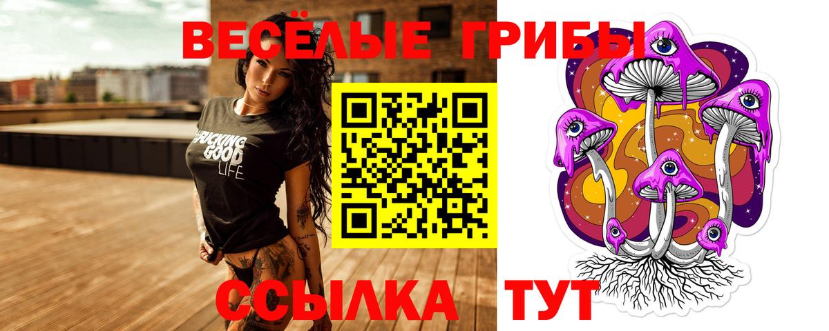 Кириши  Псилоцибиновые грибы ЛСД  Вход с VPN 