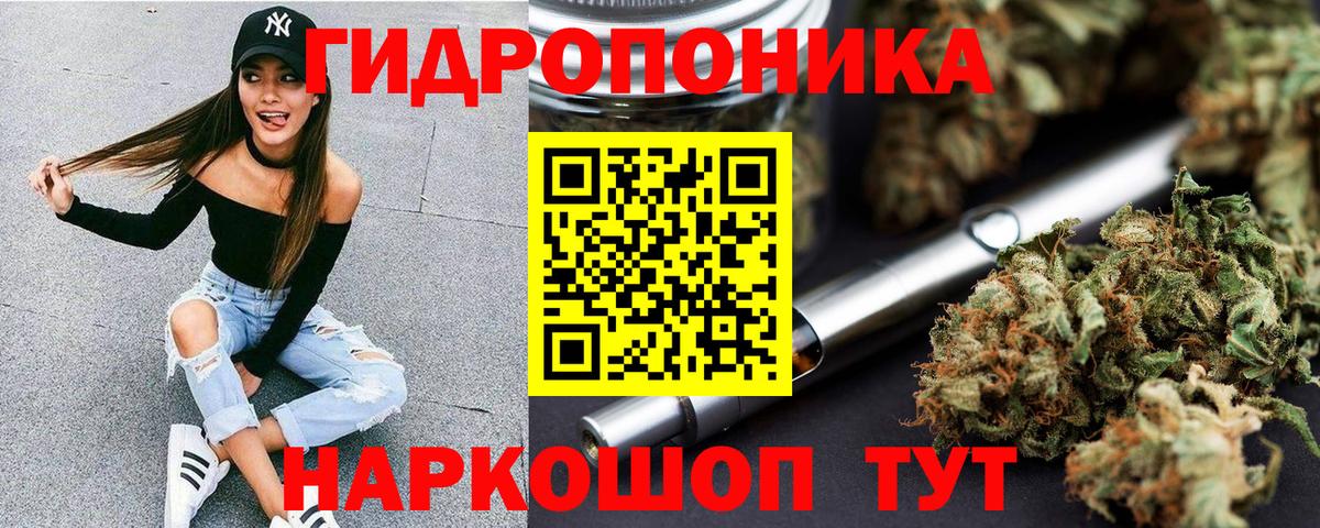 Шишки марихуана White Widow  Шишки марихуана гибрид  Вход с VPN  Кириши  Бошки марихуана конопля 